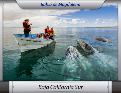 Mudanzas a Baja California Sur