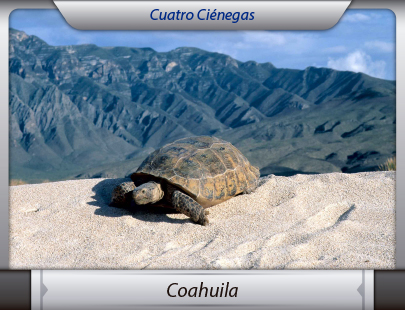 Mudanzas a Coahuila