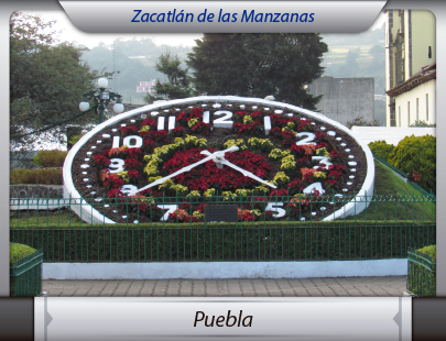 Mudanzas a Puebla