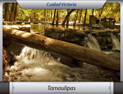 Mudanzas a Tamaulipas